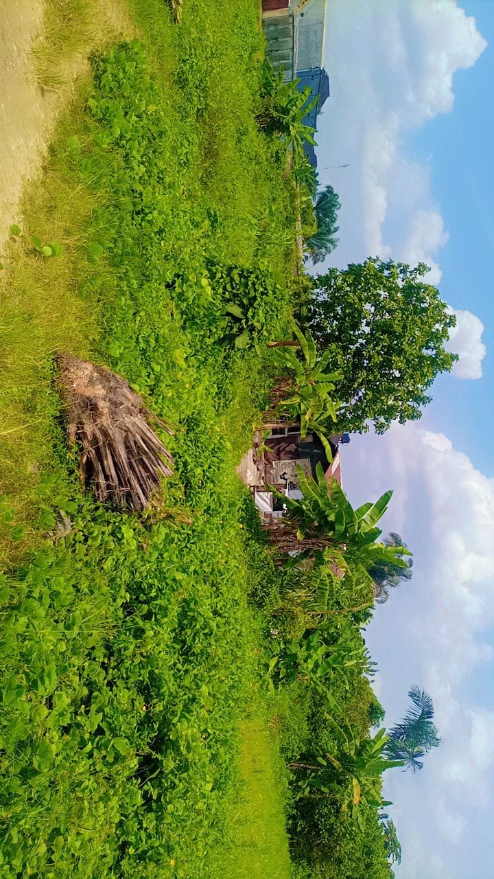 Landed Property